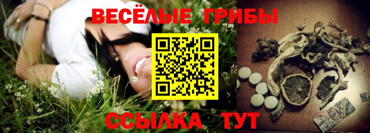 Югорск  Псилоцибиновые грибы Psilocybe  Вход с VPN 